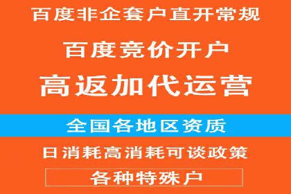 百度广告投放策略优化及成功案例解析